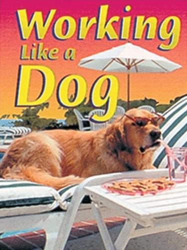 Working Like a Dog