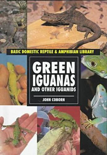 Green Iguanas and Other Iguanids