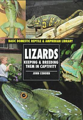 Lizards