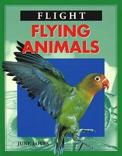 Flying Animals