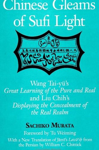 Chinese Gleams of Sufi Light