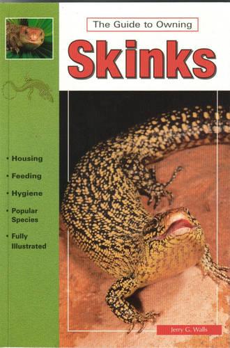 Skinks