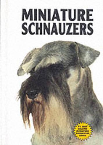 Miniature Schnauzers