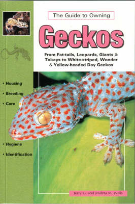 Geckos