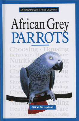 A New Owner's Guide to African Grey Parrots