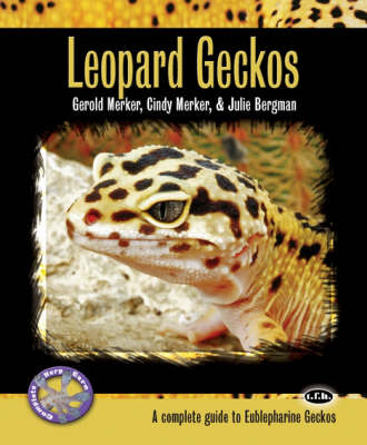 Leopard Geckos