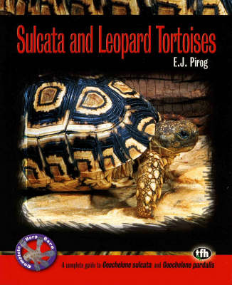 Sulcata and Leopard Tortoises