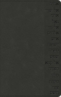 The Names of God Bible
