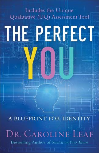 The Perfect You – A Blueprint for Identity