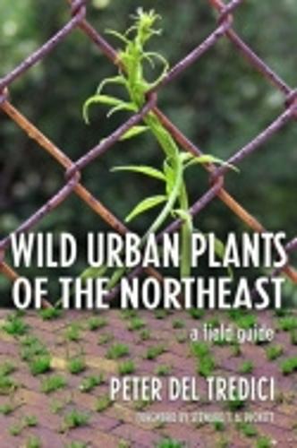 Wild Urban Plants of the Northeast