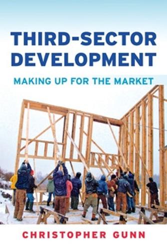 Third-Sector Development