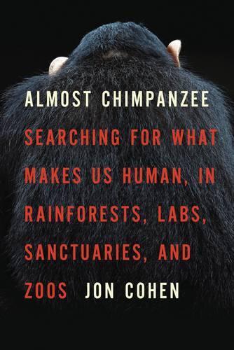 Almost Chimpanzee