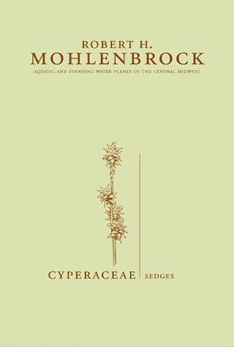 Cyperaceae
