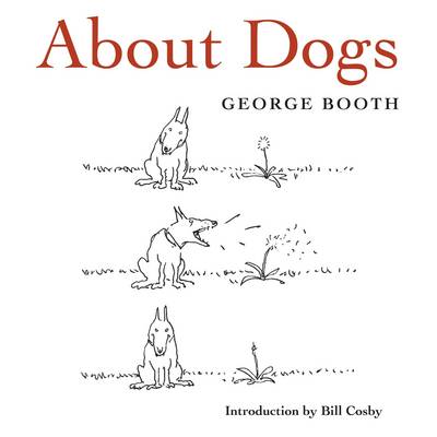 About Dogs