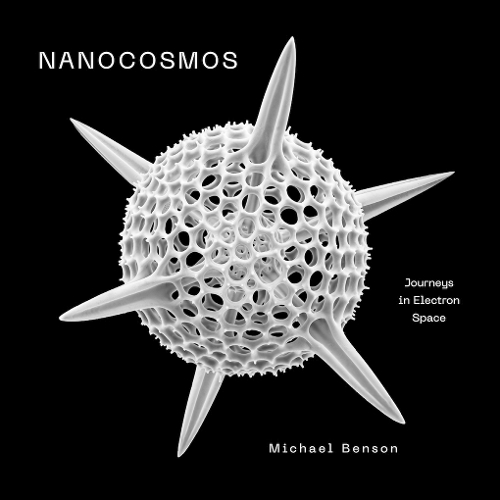 Nanocosmos