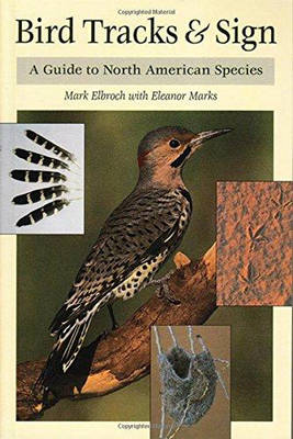 Bird Tracks and Sign