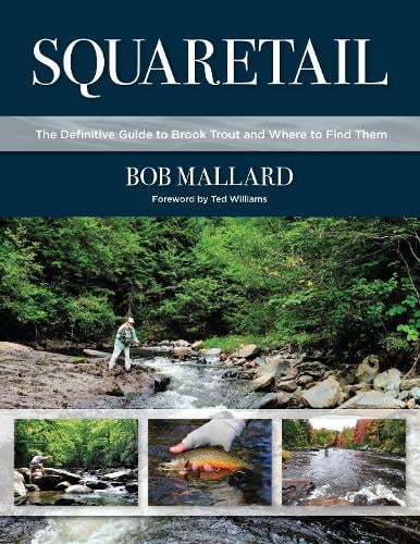Squaretail