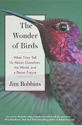 The Wonder Of Birds