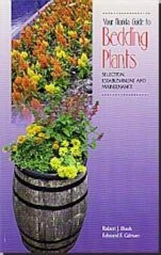 Your Florida Guide to Bedding Plants