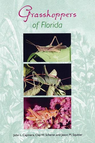 Grasshoppers of Florida