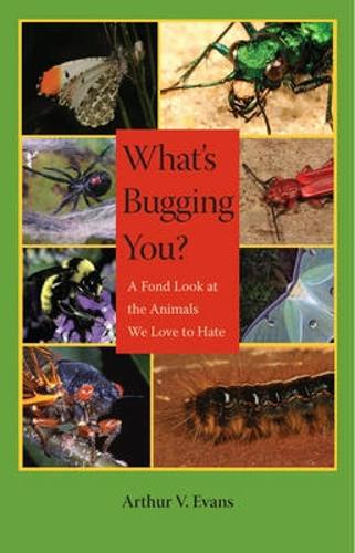 What's Bugging You?
