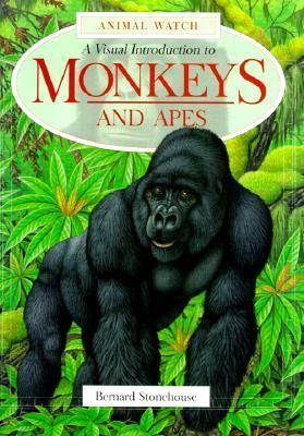 Monkeys and Apes