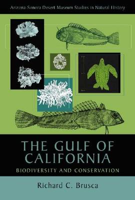 The Gulf of California