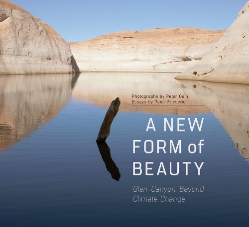 A New Form of Beauty