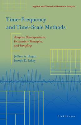 Time‒Frequency and Time‒Scale Methods