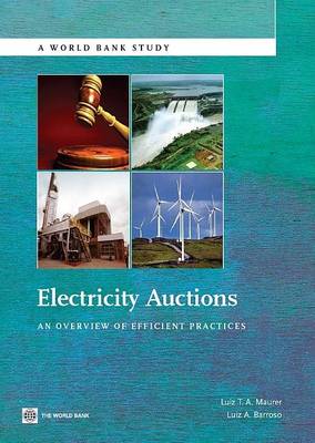 Electricity Auctions