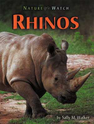 Rhinos