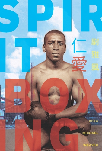 Spirit Boxing