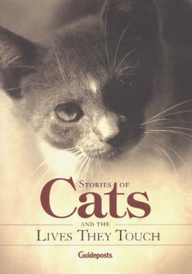 Stories of Cats