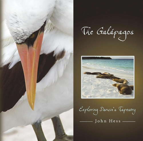 The Galapagos