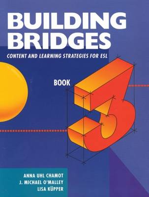 Building Bridges L3