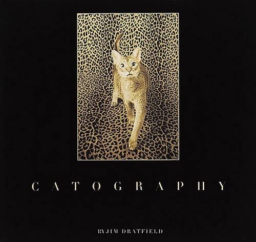 Catography