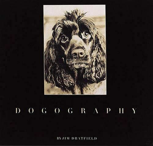 Dogography