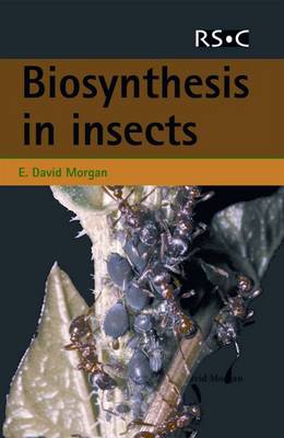 Biosynthesis in Insects