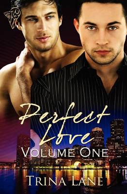 His Perfect Partner
