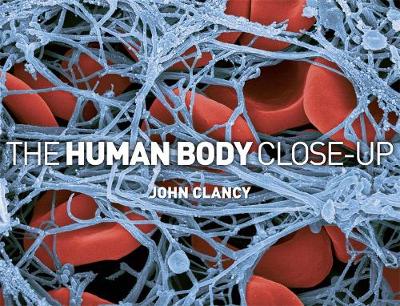 The Human Body Close-up