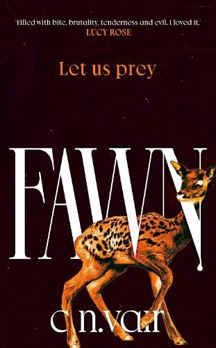 Fawn