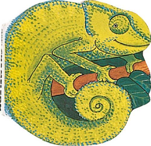 Pocket Chameleon