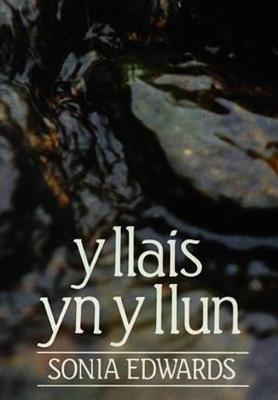 Llais yn y Llun, Y