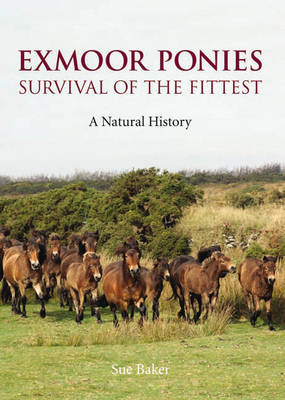 Exmoor Ponies Survival of the Fittest