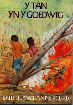 Cyfres Stori a Chwedl: Tan yn y Goedwig, Y