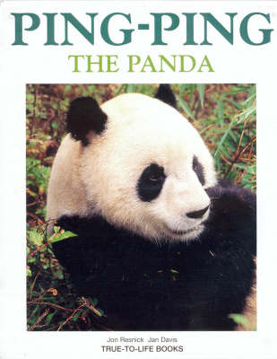 Ping Ping the Panda