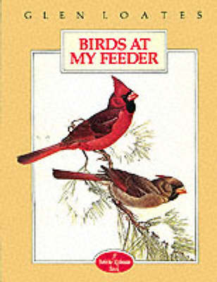 Birds at My Feeder