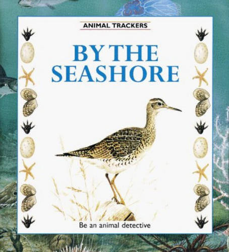 By the Seashore