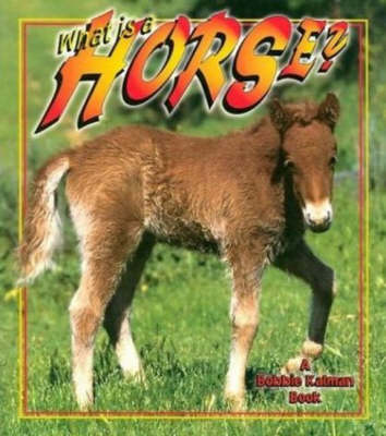What is a Horse?
