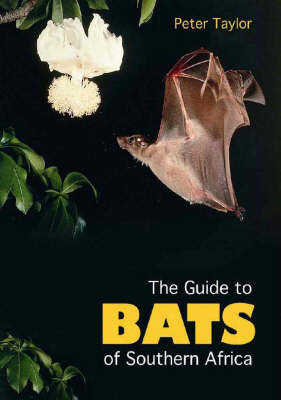 Bats of Southern Africa